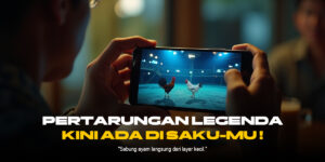 Pasaran Sabung Ayam SV388: Jenis, Odds, dan Cara Menang