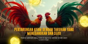 Mengenal Ayam Saigon dalam Sabung Ayam Online SV388