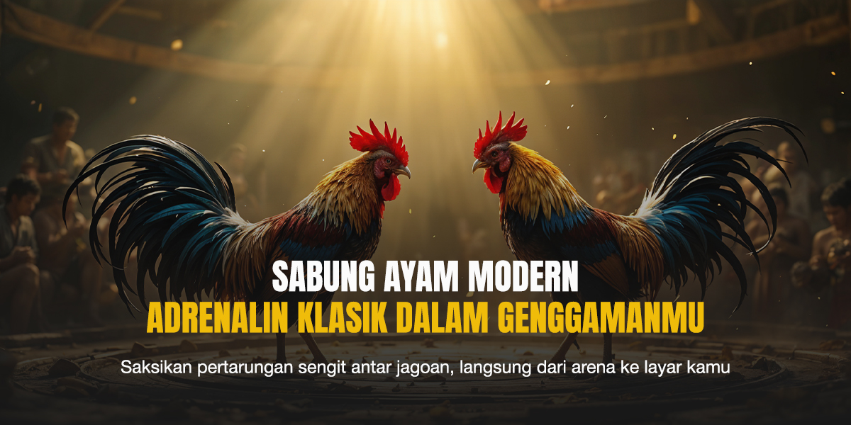 Dua ayam jago siap bertarung di arena sabung ayam dengan penonton di latar belakang dan cahaya sorot dramatis.