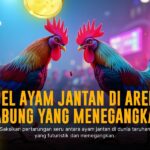 Keunikan Ayam Bangkok di Dunia Sabung Ayam Modern