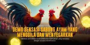 Mengenal Jenis-Jenis Ayam Laga di Sabung Ayam SV388