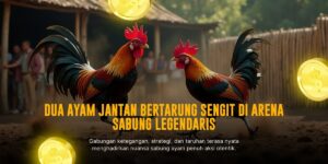 Ulasan Mendalam Sabung Ayam SV388: Jenis, Odds, dan Provider