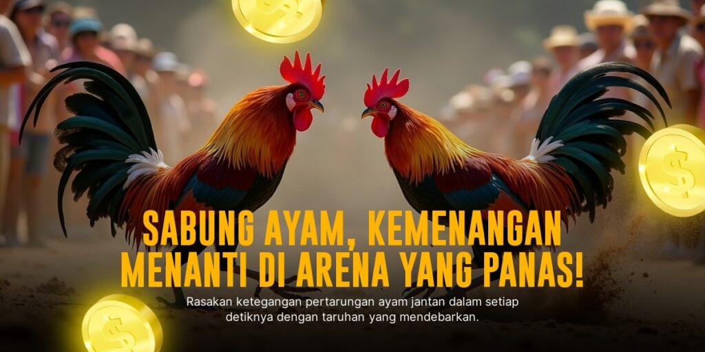 Jenis Ayam Aduan Jenis Saigon yang Wajib Kamu Tahu